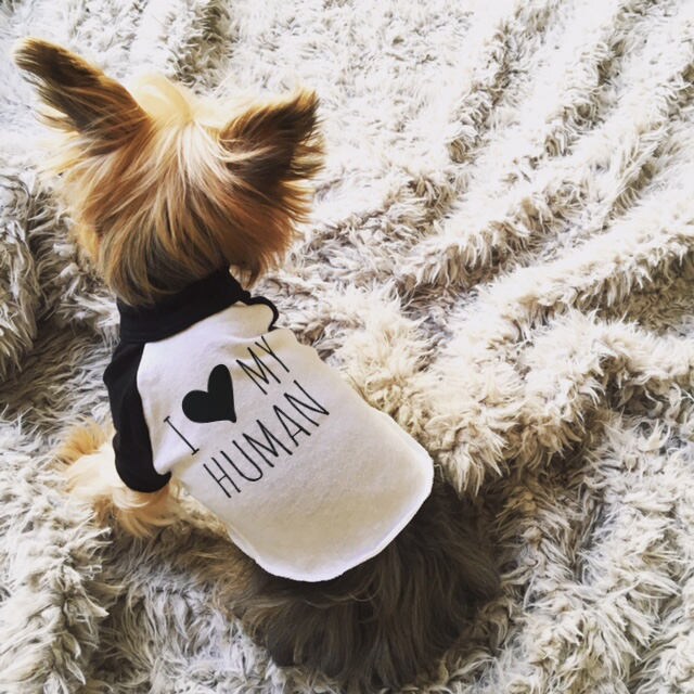 I Love My Dog I Love My Human T-shirt 