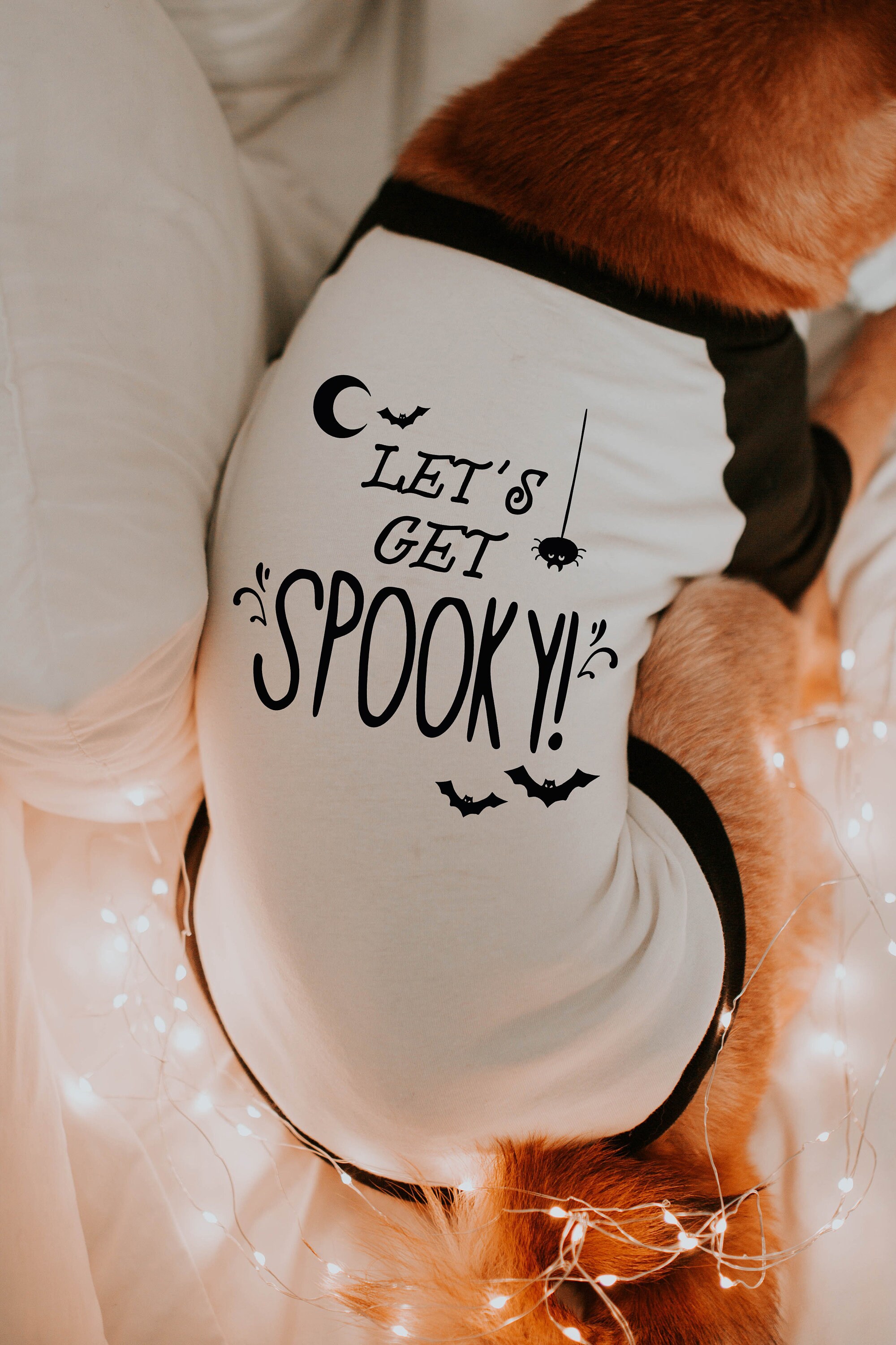 Let's Get Spooky Halloween Dog Shirt 10 Sizes Dog Etsy