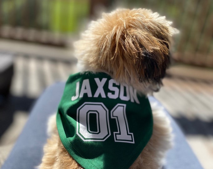 Custom Dog Bandana: Personalized Team Jersey Style, Birthday Gift