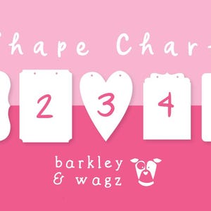 May include: A pink and white shape chart with the text "Shape Chart" in a whimsical font. Five white shapes are numbered 1-5 in pink, with a dog logo and the text "barkley & wagz" at the bottom.