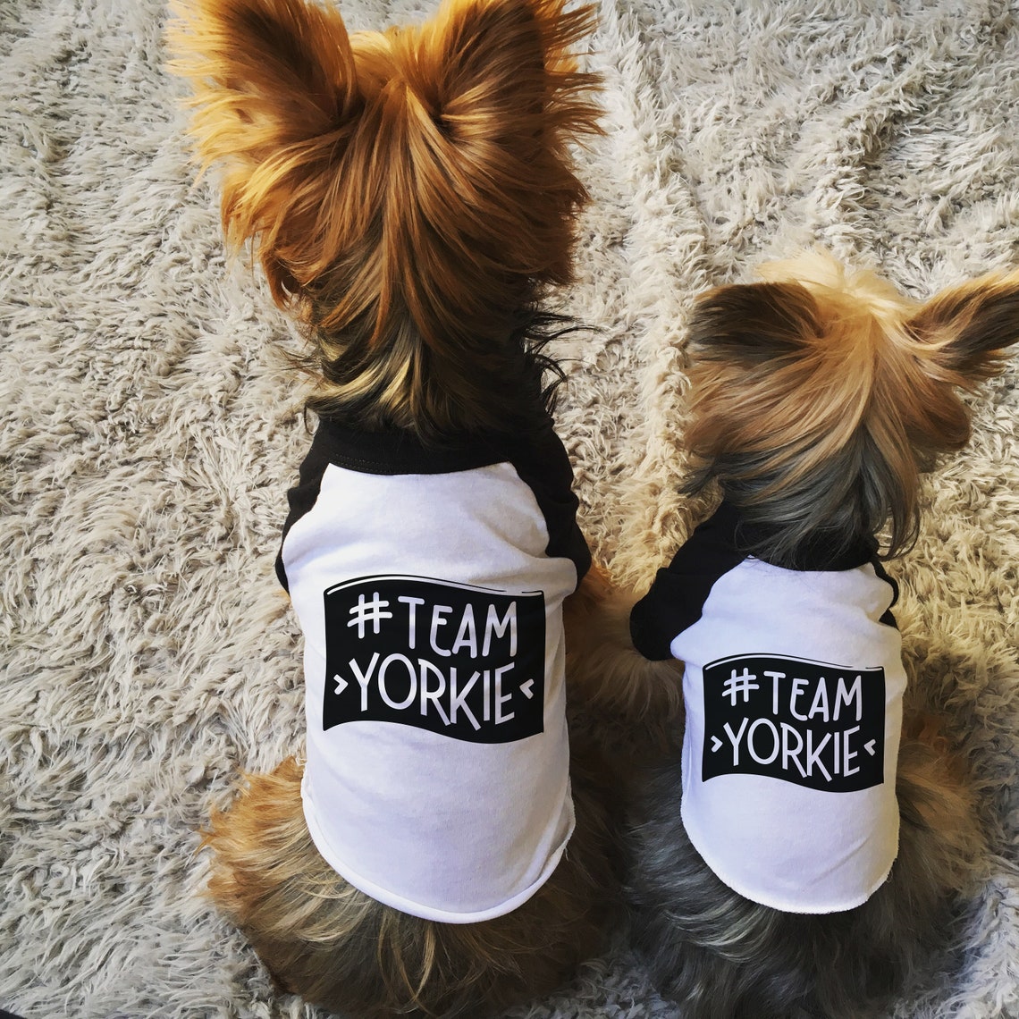 Best Friends Dog Shirt NEW Tshirt Set for Dog & Human Best Etsy