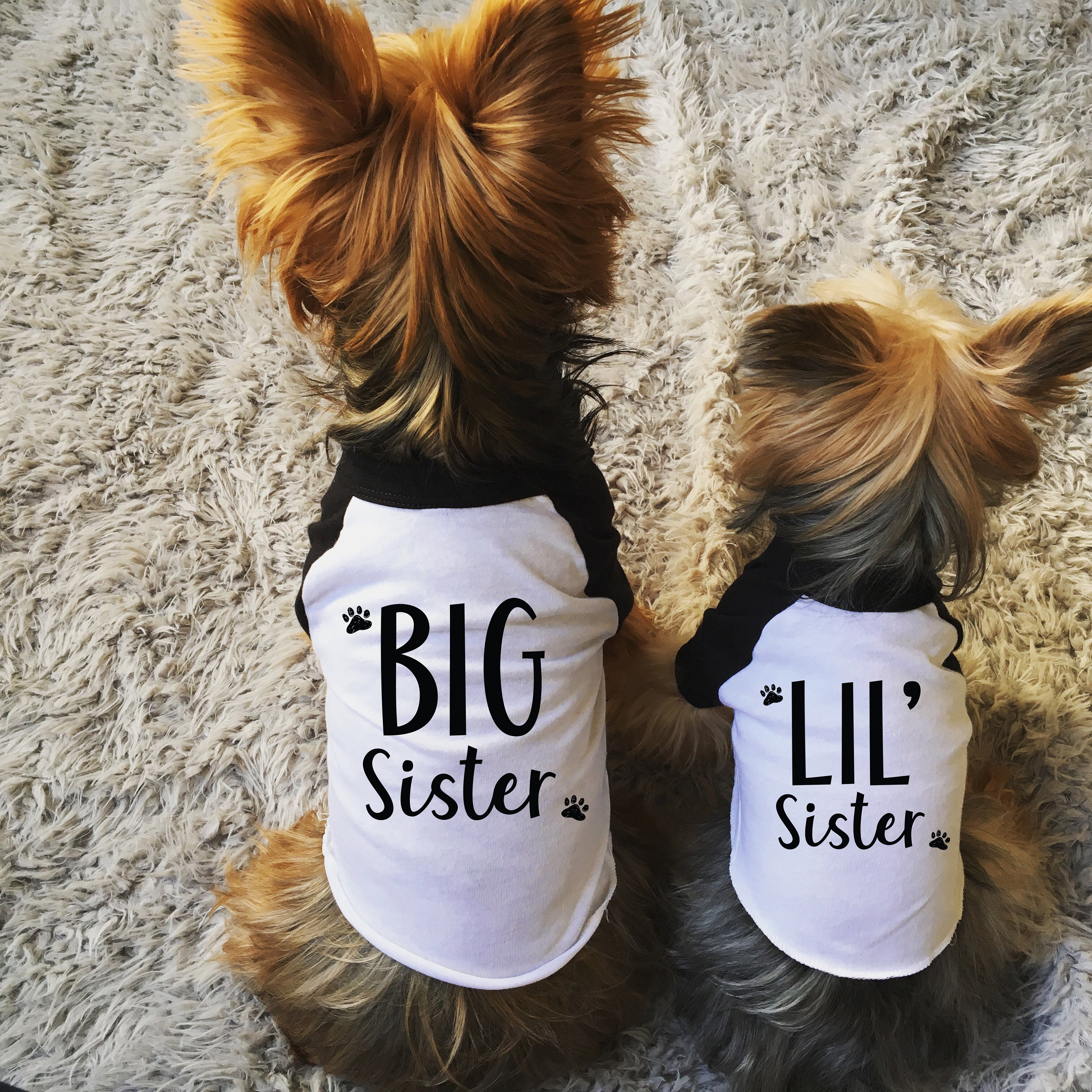 big brother little sister dog shirts