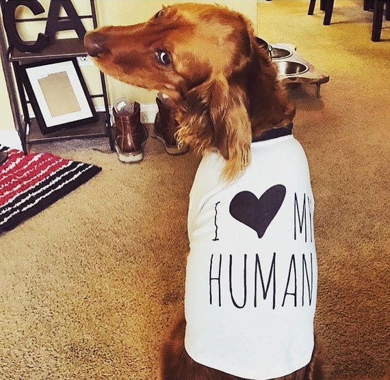 human dog clothes