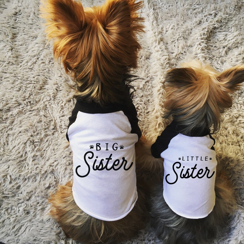 Soon To Be Big Brother Big Sister Dog Shirt 10 Sizes Custom Etsy
