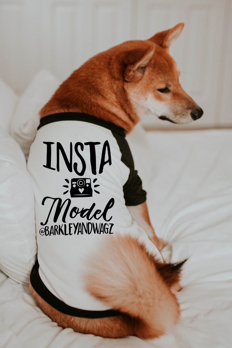 Custom Insta Model Instagram Handle Shirt 10 Sizes Dog Etsy