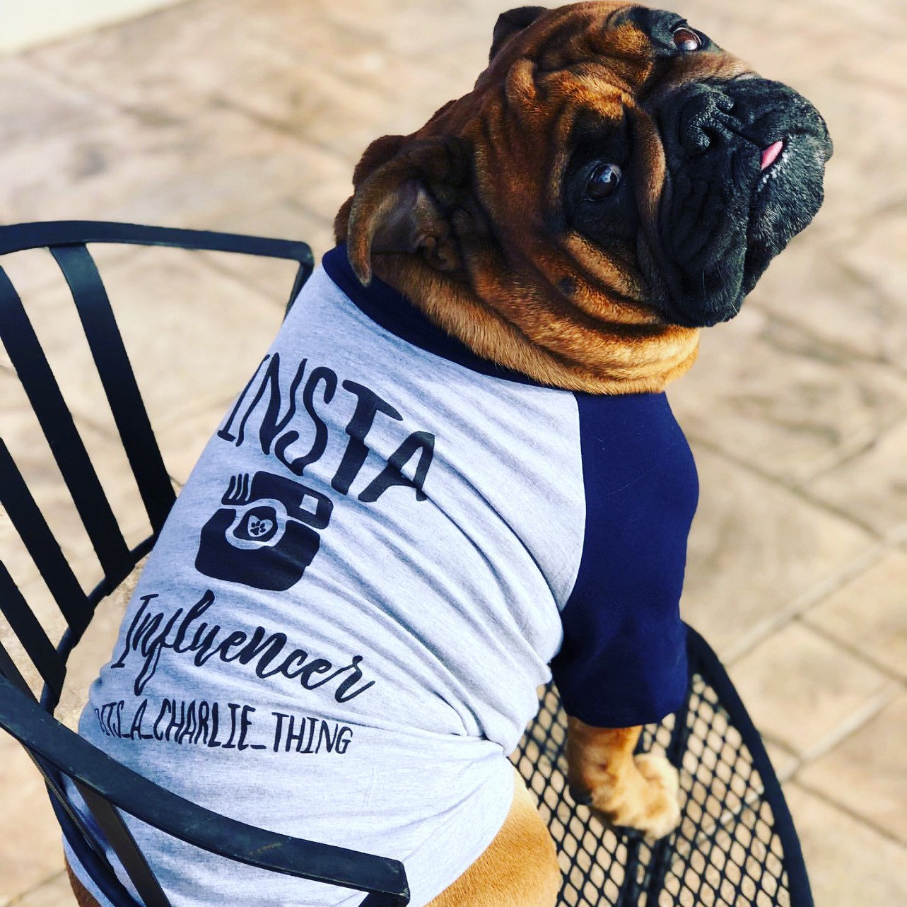 Custom Insta Model Instagram Handle Shirt 10 Sizes Dog Etsy