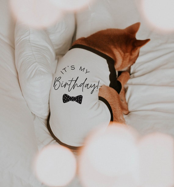Dog birthday apparel discount