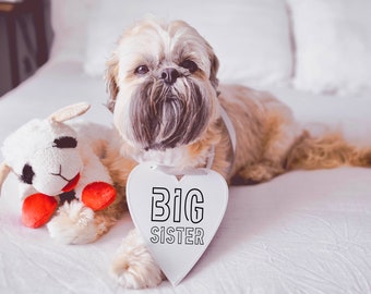 Big Sister or Big Brother Baby Announcement Newborn Photo Shoot Special Occasion Dog Sign | Dog Photo Prop Pregnancy Announcement Sign Dogs