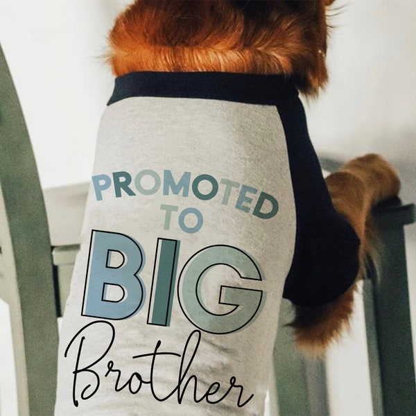 Big Sister Dog Shirt Etsy