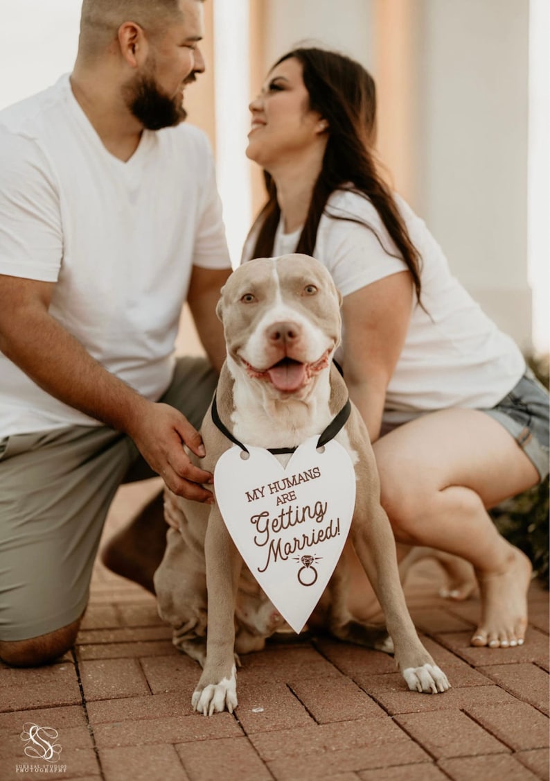 My Humans Are Getting Married Wedding Announcement Engagement Photo Shoot Special Occasion Dog Sign Dog Photo Prop Sign for Photo Shoot image 3