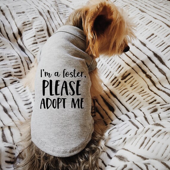 Outfits Para Adopt Me 2020