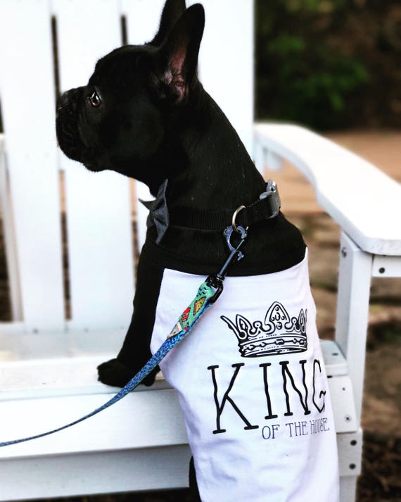 kings dog jersey