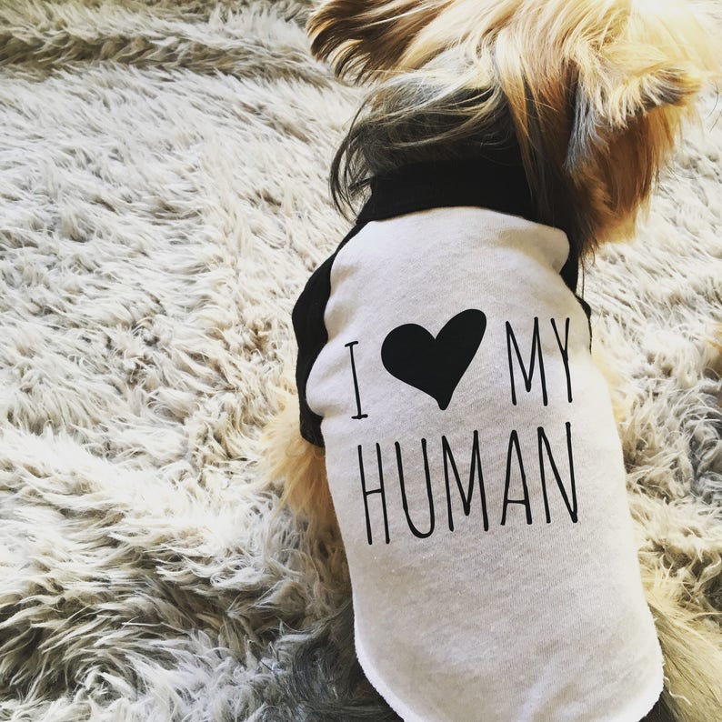 I Love My Dog I Love My Human Tshirt Set for Dog & Human Etsy