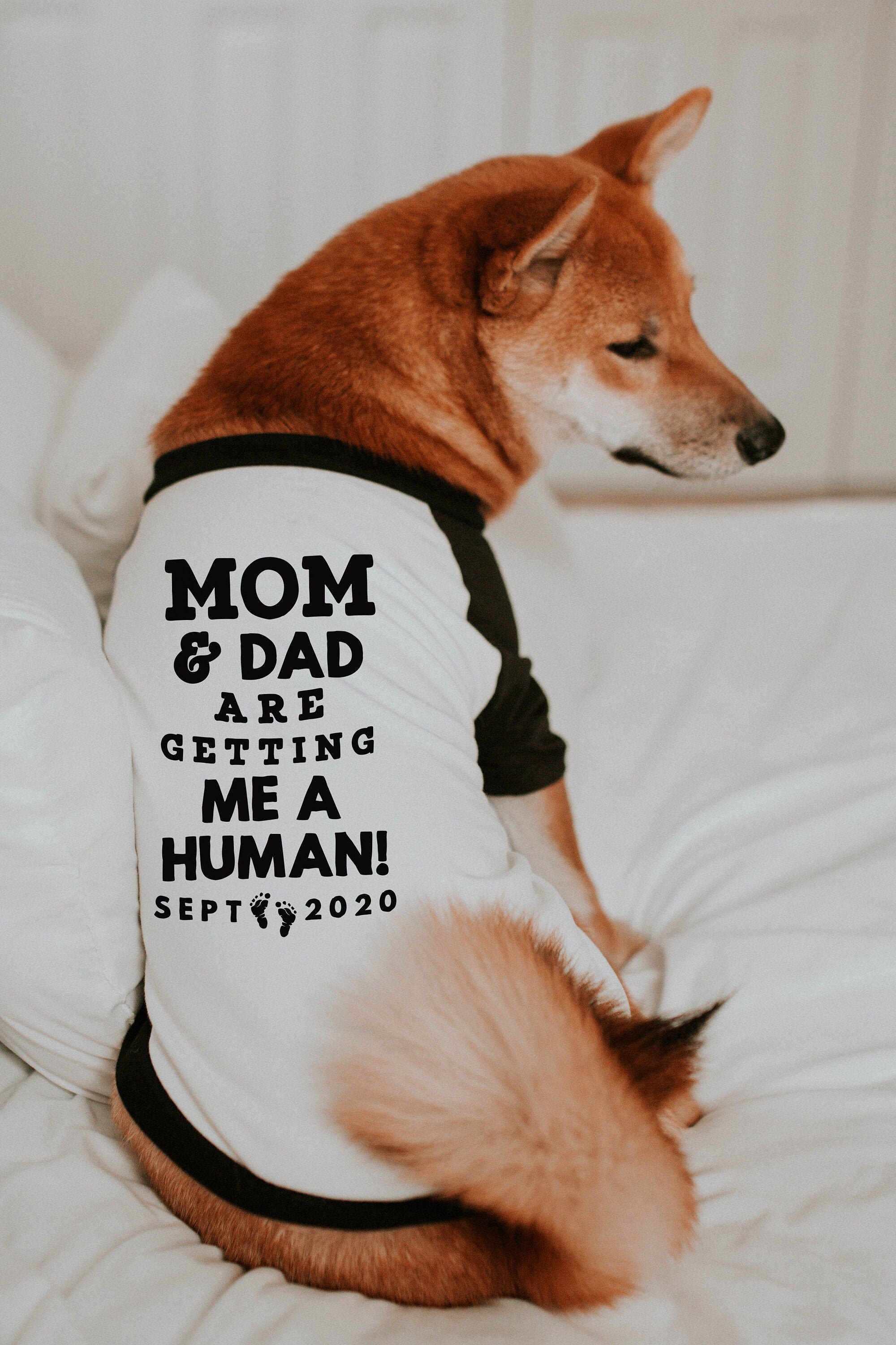 Human Pregnancy Announcement 