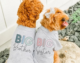 Peut inclure: Deux chiens portant des t-shirts gris assortis avec les mots "BIG Brother" et "BIG Sister" imprimés au dos dans une police ludique. Un chien a un nœud. Les chiens ont des poils bruns et sont assis dehors sur un rocher.