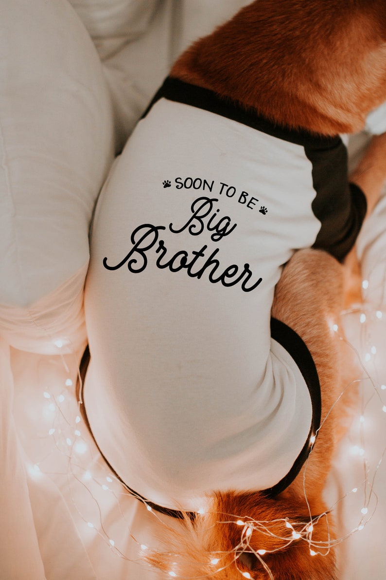 Soon To Be Big Brother Big Sister Dog Shirt 10 Sizes Custom Etsy
