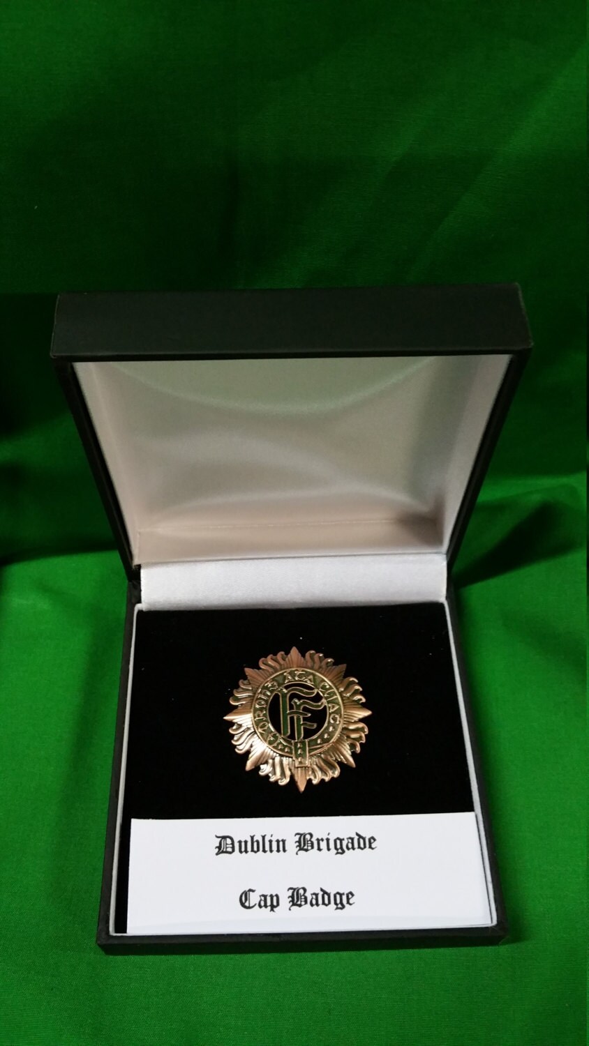 1916 Rising Dublin Brigade Badge