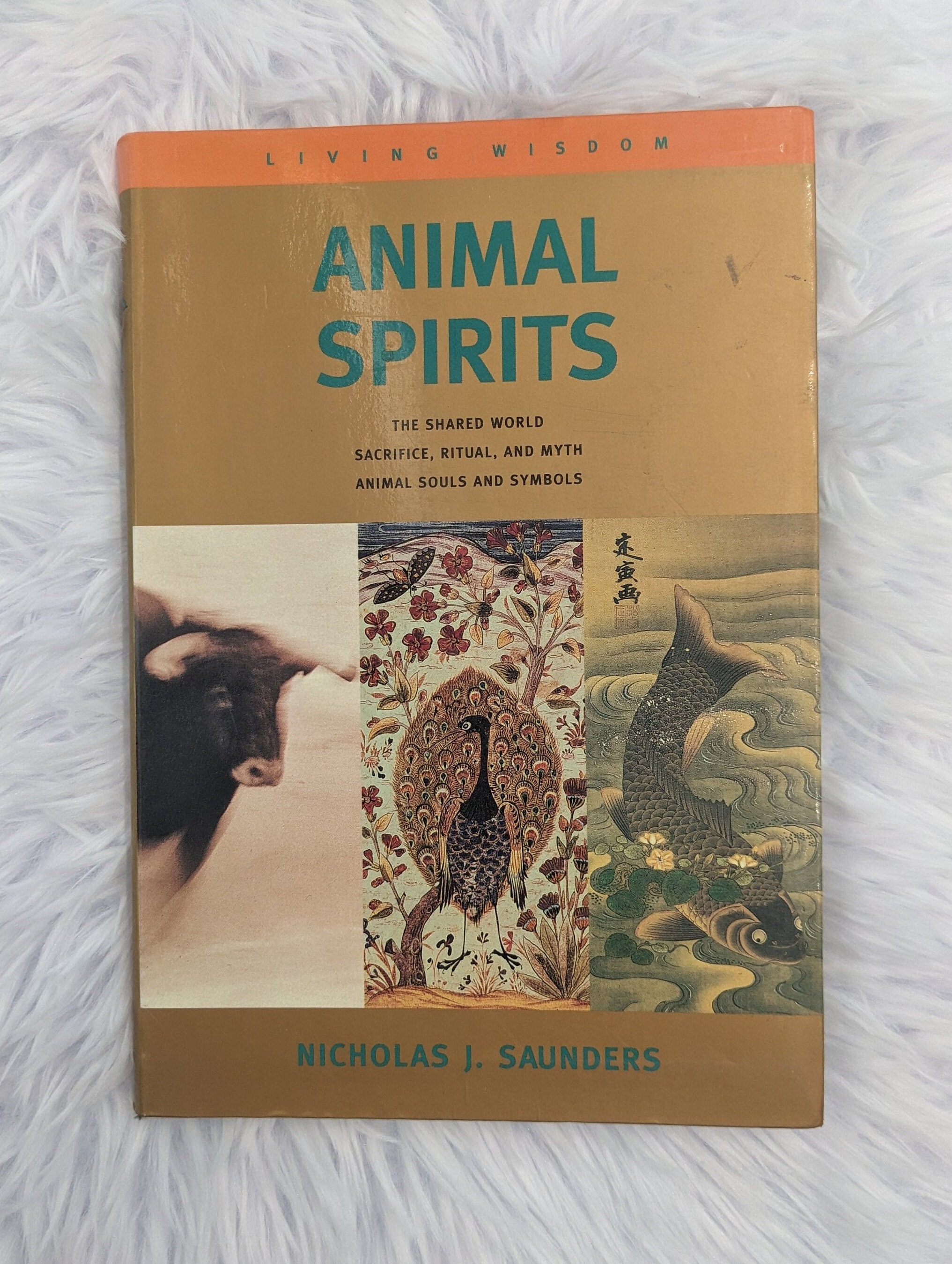 Animal Spirits