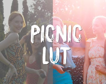 PICNIC LUT | Panasonic GH6&GH7 Vlog Conversion LUT