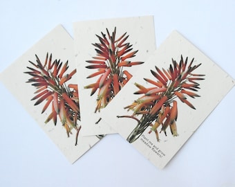 Meadow Flower Seed Postcards / Eco-Friendly Seeded Cards / Plantable Paper / Plant Me Cards / Pack of 3