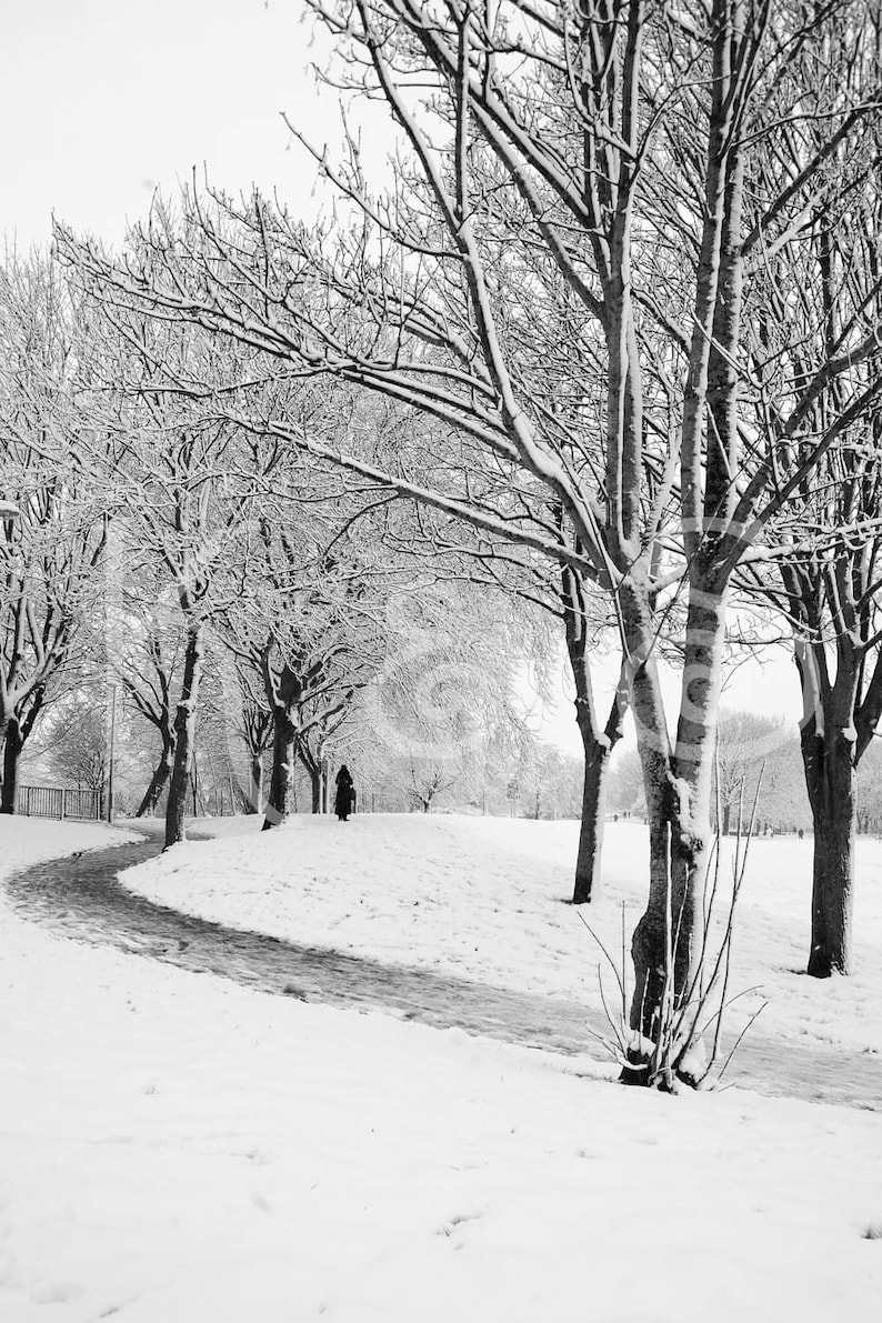Greeting Card /'winter/' Nature Photography Black and White Photo Snow Park
