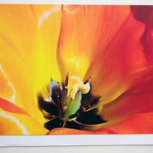Eco Card 'Tulip' Tree Free Paper image 4