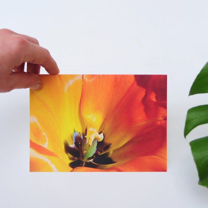 Eco Card 'Tulip' Tree Free Paper image 2