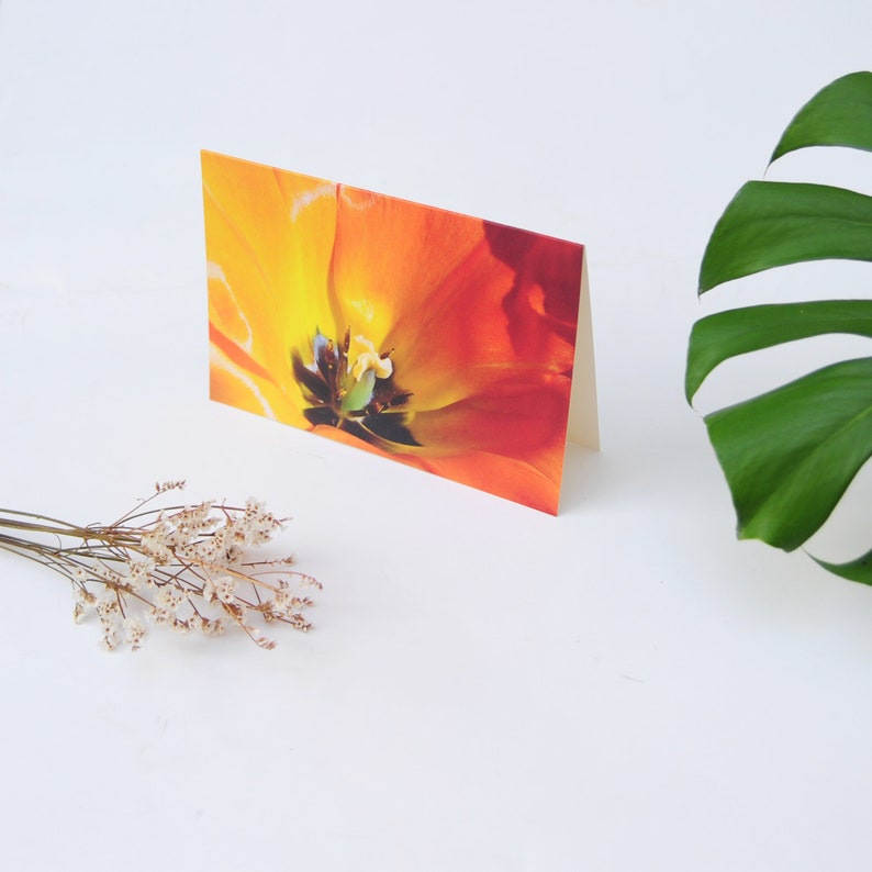 Eco Card 'Tulip' Tree Free Paper image 1
