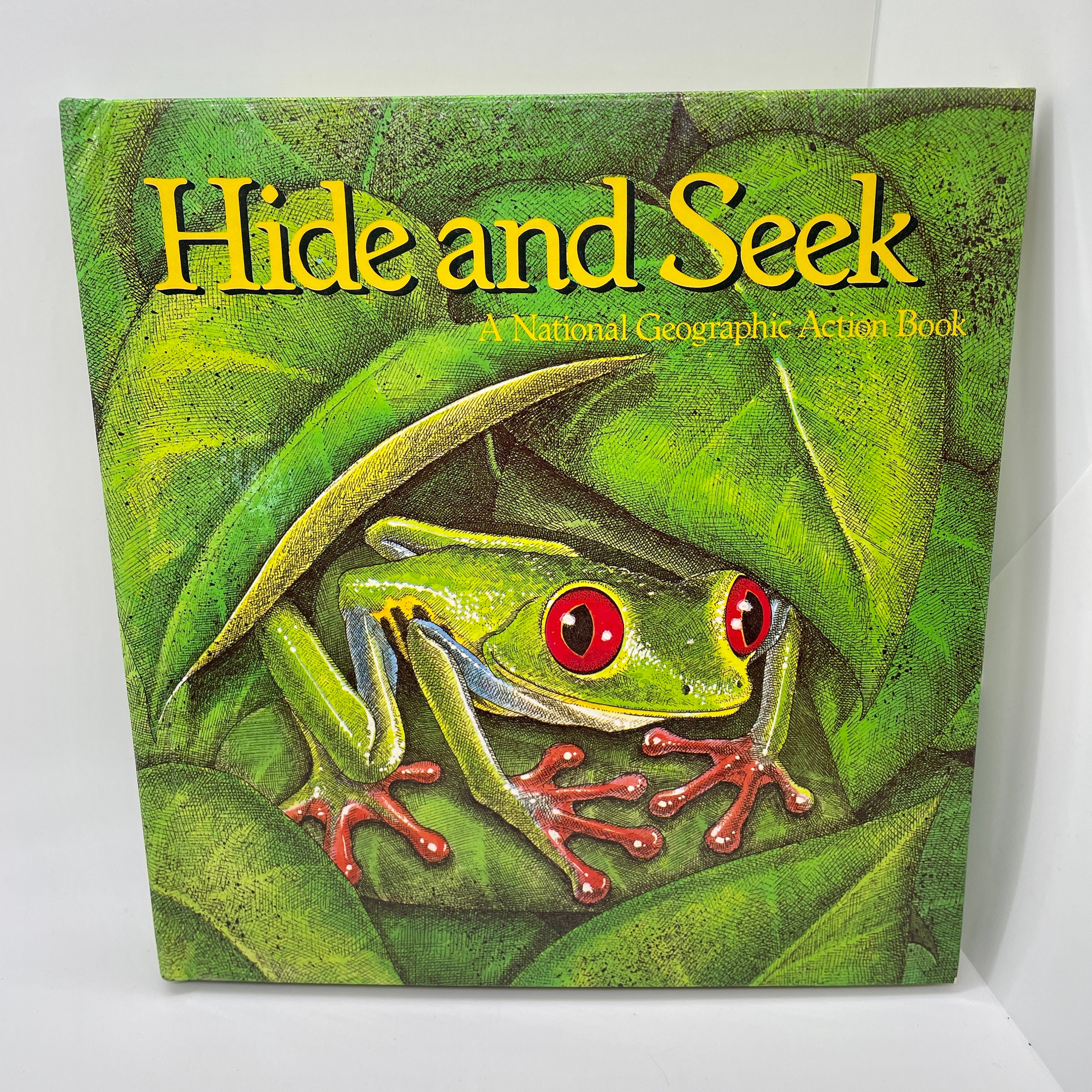 Hide and Seek Pop up Book National Geographic Animal - Etsy