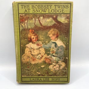 The Bobbsey Twins at Snow Lodge