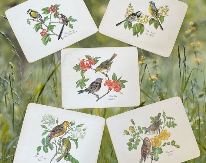 Vintage Pimpernel Garden Bird Placemats 5 Small Corked Backed Etsy