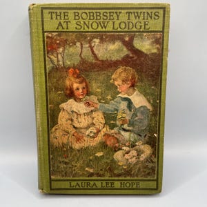 The Bobbsey Twins at Snow Lodge