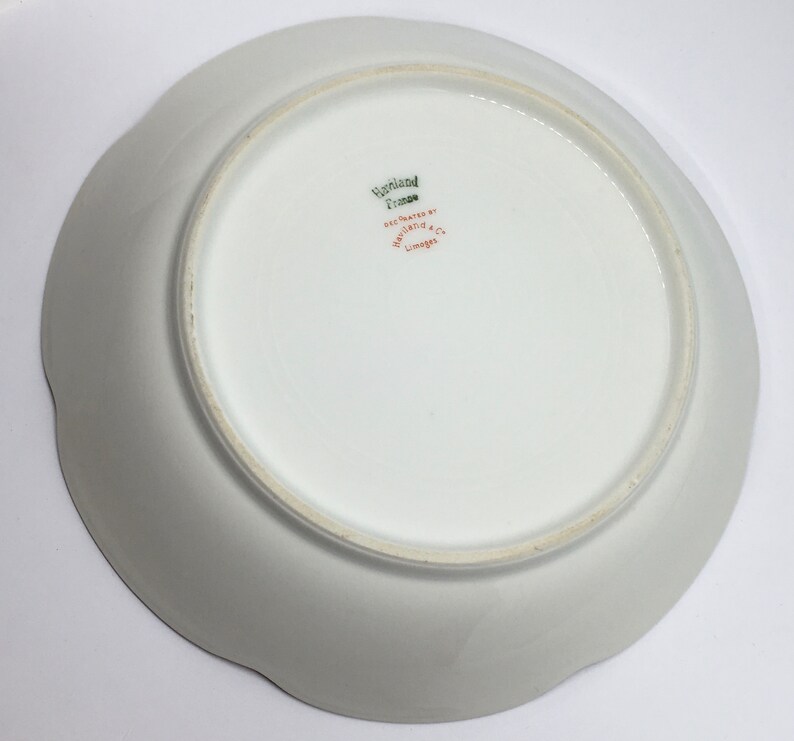 La Salle HAVILAND Shallow Serving Bowl with Wild Flowers designed by Haviland and Co Limoges France Pretty Floral Dinnerware
