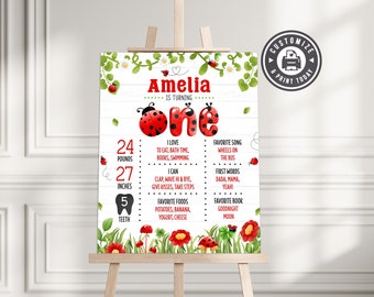 Ladybug 1st Birthday Milestone Board | Editable Girl's Nature Garden Party Board Decoration Sign | Custom Digital Printable Template 16x20