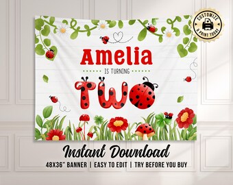 Ladybug 2nd Birthday Banner | Editable Girl's Nature Garden Party Backdrop Wall Decor | Custom Digital Printable Template 48x36