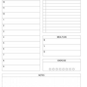 May include: A white daily planner page with sections for 'Today', 'To Do', 'Meal Plan', 'Exercise', and 'Notes'. The planner includes time slots from 8 AM to 9 PM, with spaces for listing tasks and planning meals.