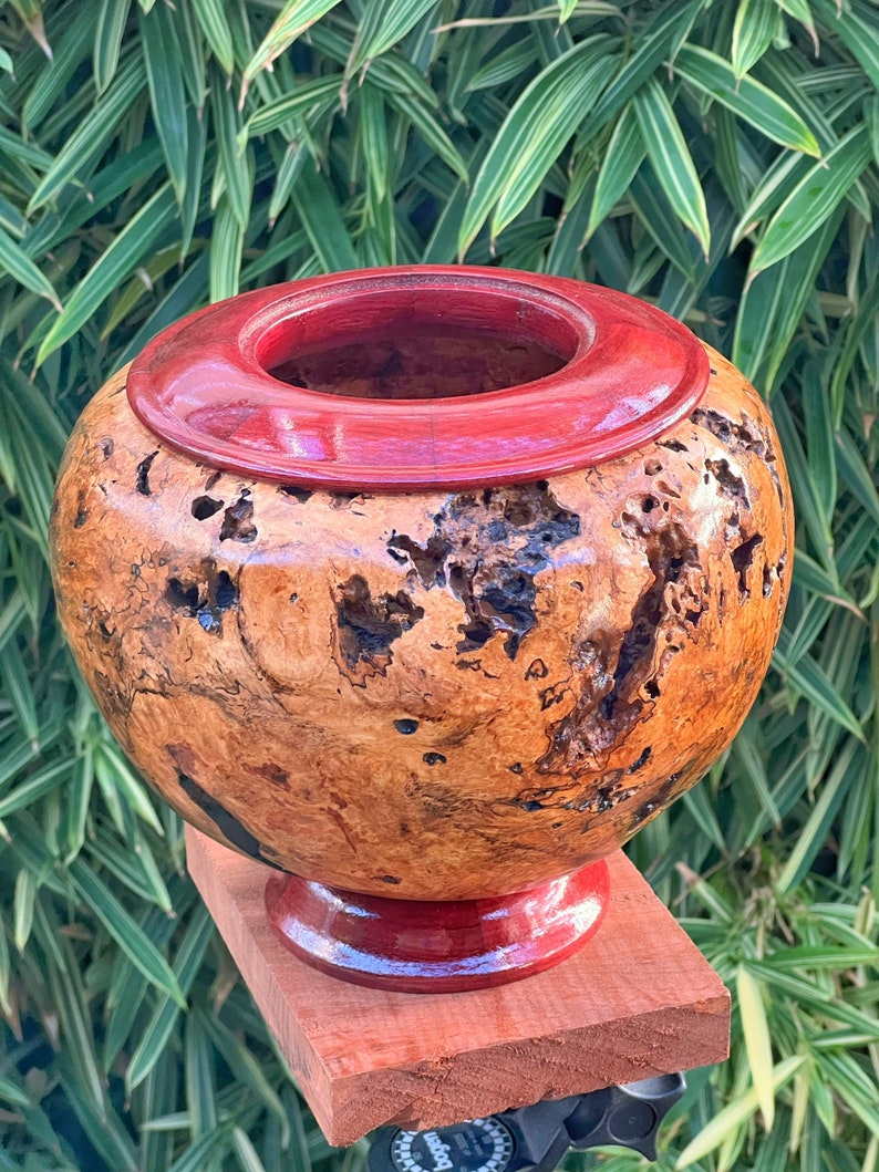 Hawaiian Mango Wood Vase With Purpleheart Base Etsy