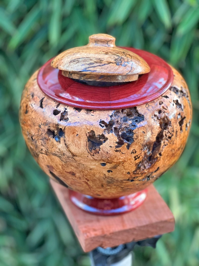 Hawaiian Mango Wood Vase With Purpleheart Base Etsy