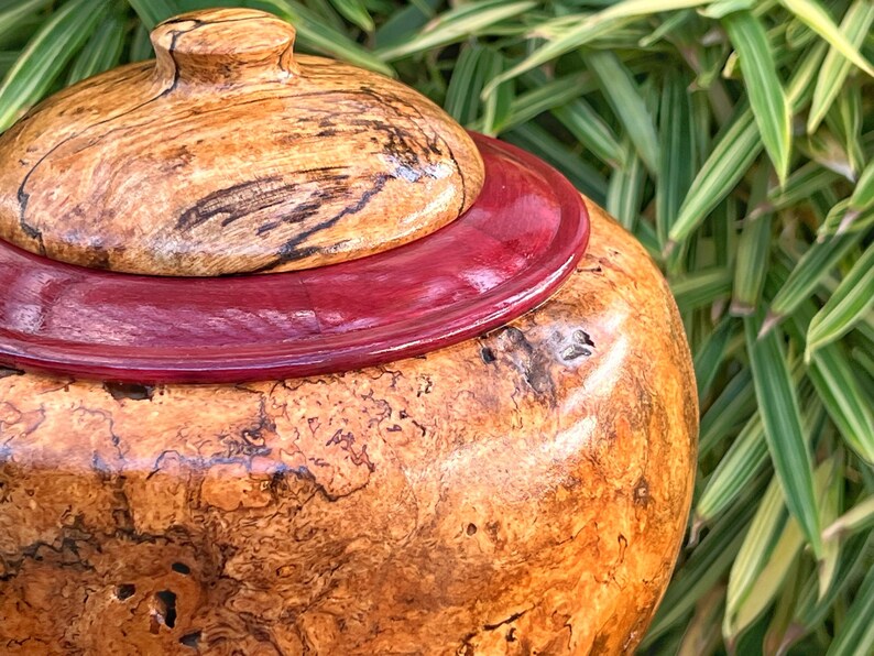 Hawaiian Mango Wood Vase With Purpleheart Base Etsy