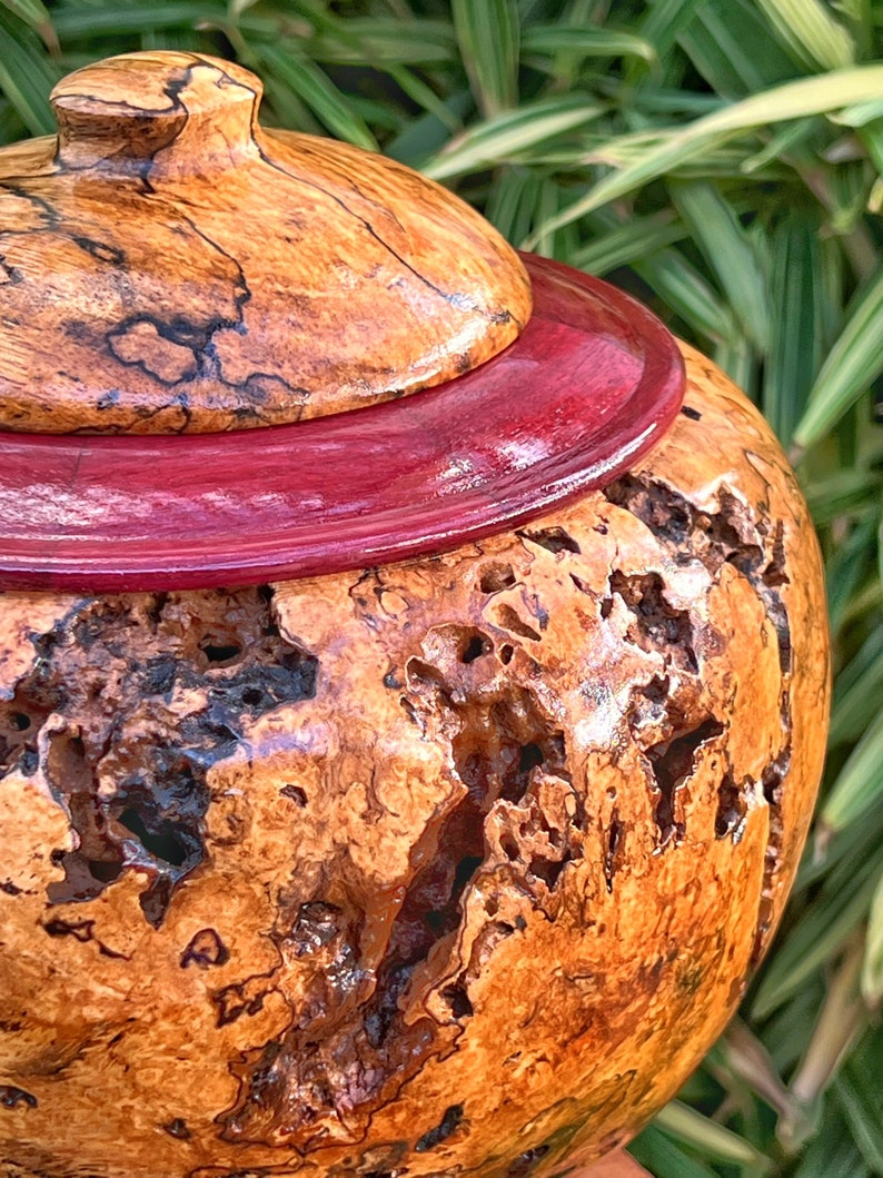 Hawaiian Mango Wood Vase With Purpleheart Base Etsy