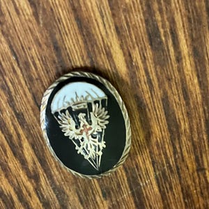 Puede incluir: Un broche de metal de forma ovalada con un fondo de esmalte negro y un emblema de águila en tono dorado centrado bajo un paracaídas blanco. El broche está enmarcado por un borde texturizado de cuerda trenzada en acabado dorado.