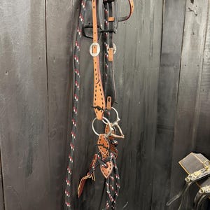 Cabezada de una oreja y riendas de lazo con correas de baba