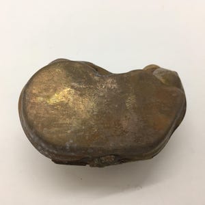 May include: A small, antique brass box with a rounded, organic shape. The box has a tarnished, aged appearance with variations in color from gold to brown. The lid is slightly raised, suggesting it may open. The object is set against a white background.