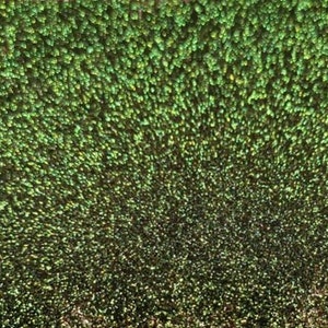 0.2mm Dragon Scales Glitter Powder LSB008 - Green