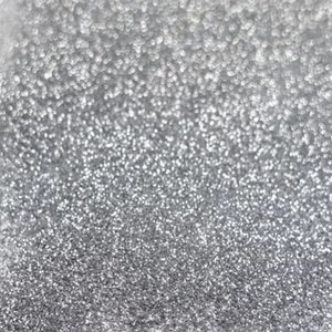 0.2mm Silver Glitter Pure Color B0100 - Argent