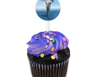 Flippin For Dolphins Cake Cupcake Toppers Picks Set