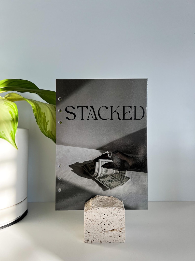 A5 Stacked Cash Stuffing Planner Dashboard Insert | Fits LV GM Large Agenda & A5 Filofax planners immagine 1