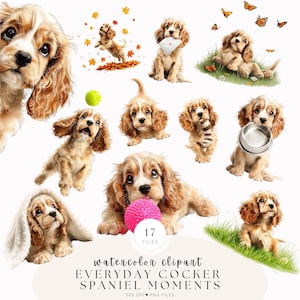 Imágenes prediseñadas de Cocker Spaniel en acuarela, ilustraciones de perros originales, gráficos de perros para imprimir, uso comercial.