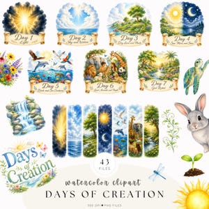 May include: A collection of watercolor clipart featuring the seven days of creation, including scenes of light, sky, water, land, plants, celestial bodies, animals, and people, with text labels, a rabbit, a dragonfly, and a sun illustration.