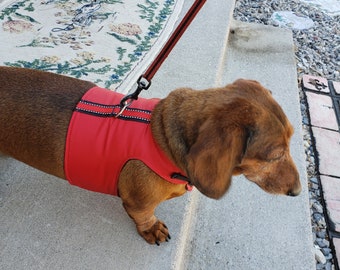 weiner dog harness